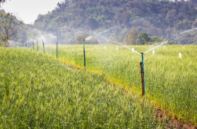 田间地头的新伙伴：智慧灌溉如何助农增产