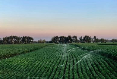 绿色浪潮下的革命：精密喷灌系统在现代农业中的应用
